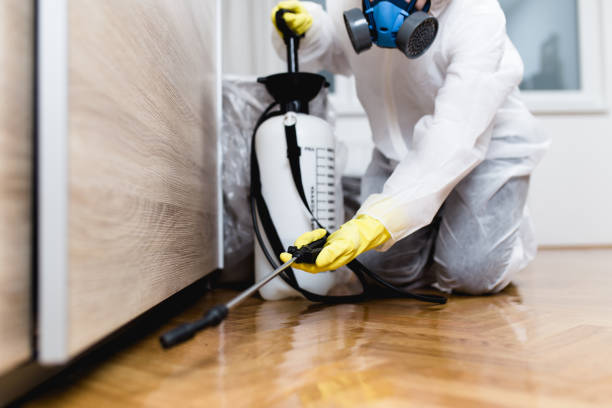 Best Emergency Pest Control  in Cochran, GA