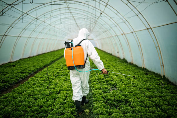 Best Local Pest Control Services  in Cochran, GA