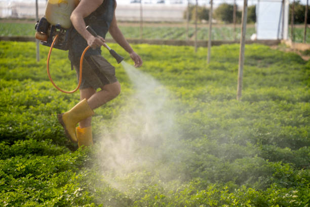 Best Affordable Pest Control Services  in Cochran, GA