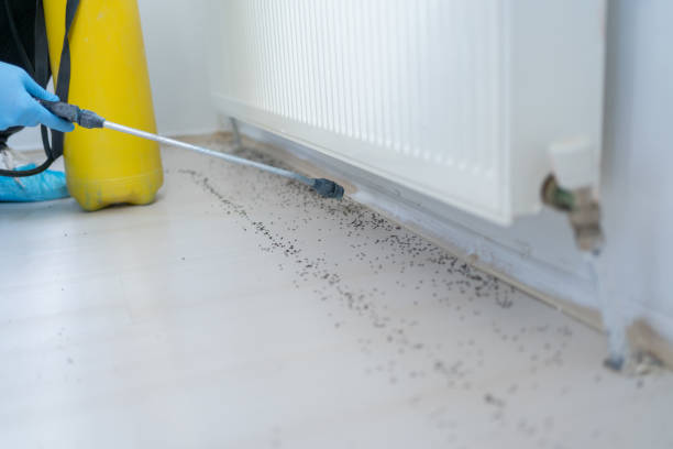 Best Best Pest Control Companies  in Cochran, GA