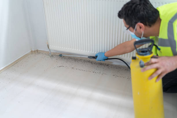 Best Commercial Pest Control Services  in Cochran, GA