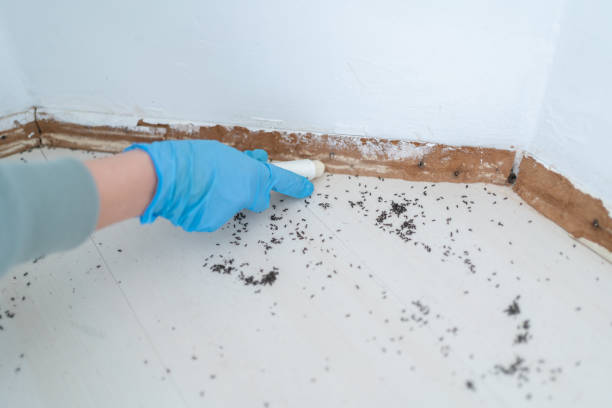 Pest Control for Restaurants in Cochran, GA