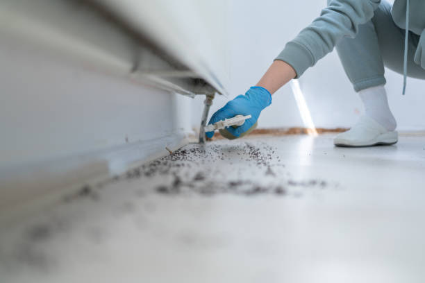 Best Flea Control Services  in Cochran, GA